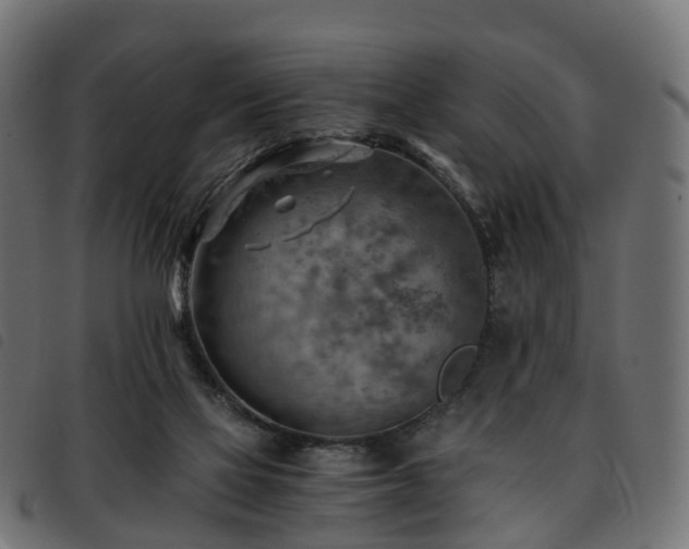 X0000093590069200710151212