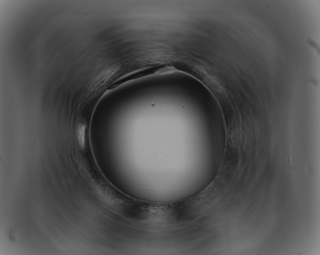 X0000093590070200710151212