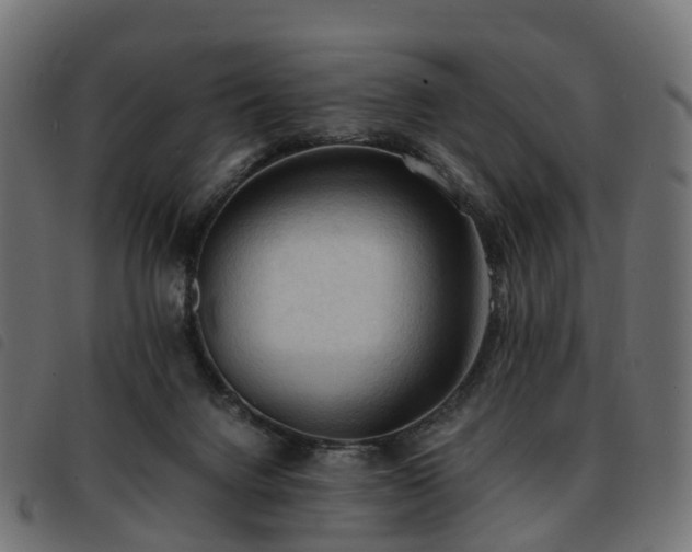 X0000093590072200710151212