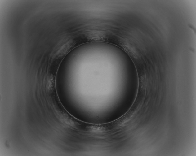 X0000093590073200710151212