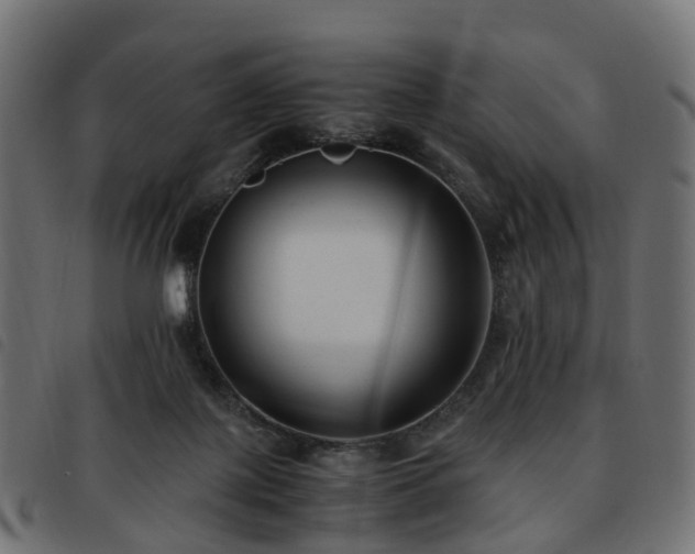 X0000093590075200710151212