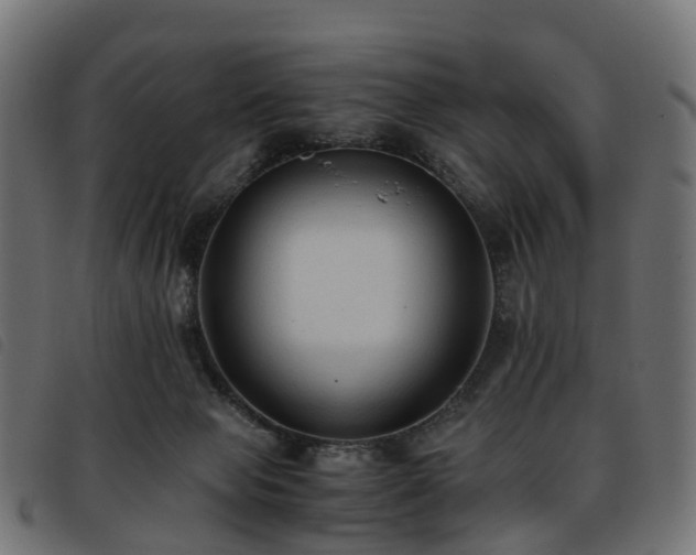 X0000093590077200710151212