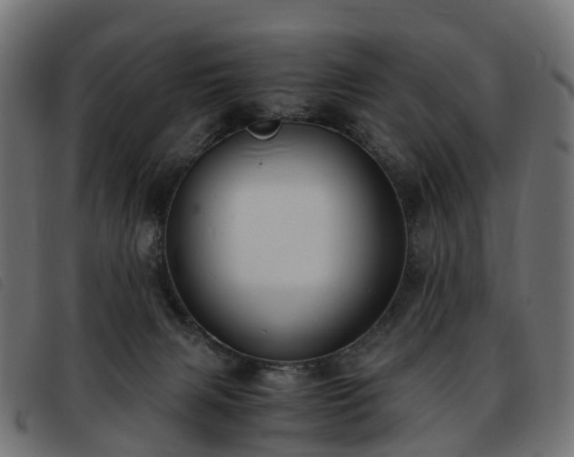X0000093590079200710151212