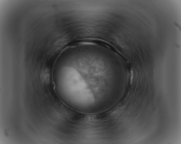 X0000093590080200710151212