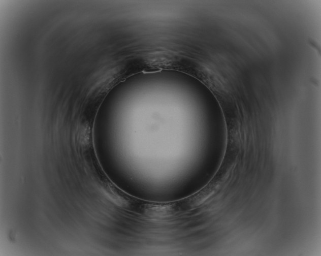 X0000093590081200710151212