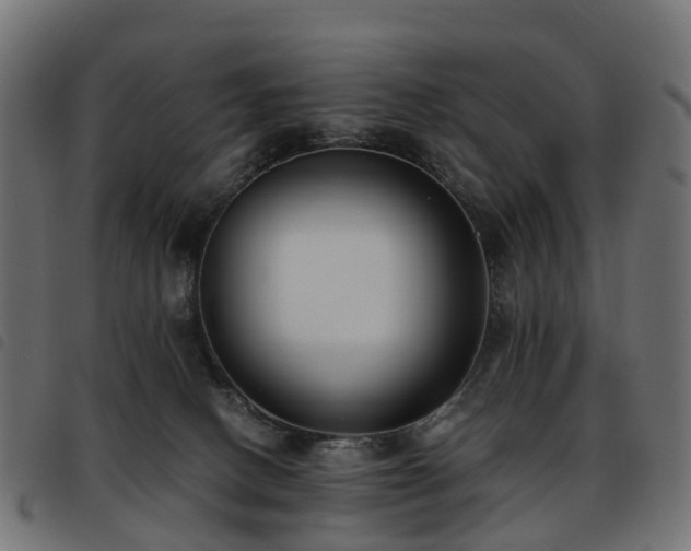 X0000093590082200710151212