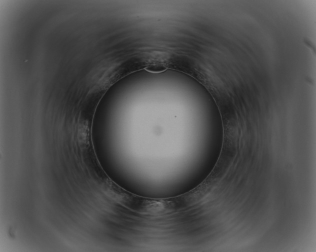 X0000093590083200710151212