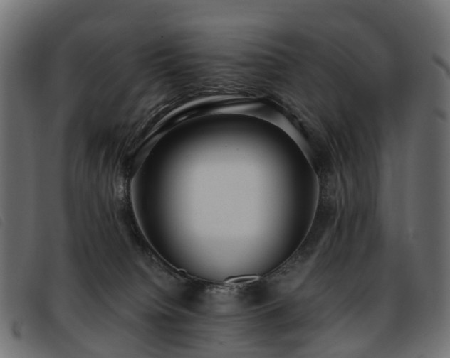 X0000093590084200710151212