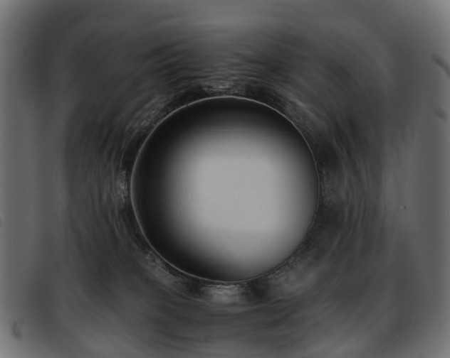 X0000093590085200710151212