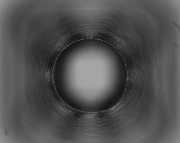 X0000093590086200710151212