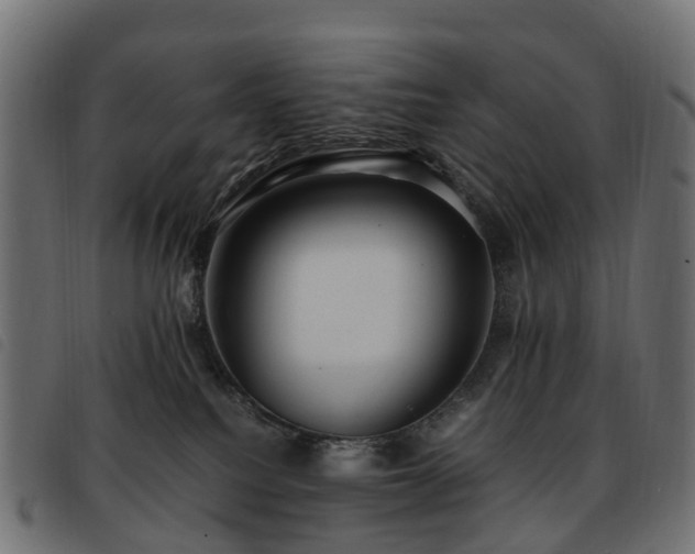 X0000093590088200710151212