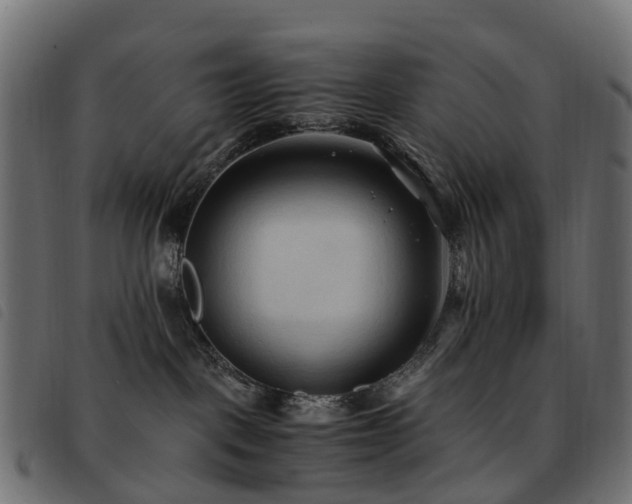 X0000093590093200710151212