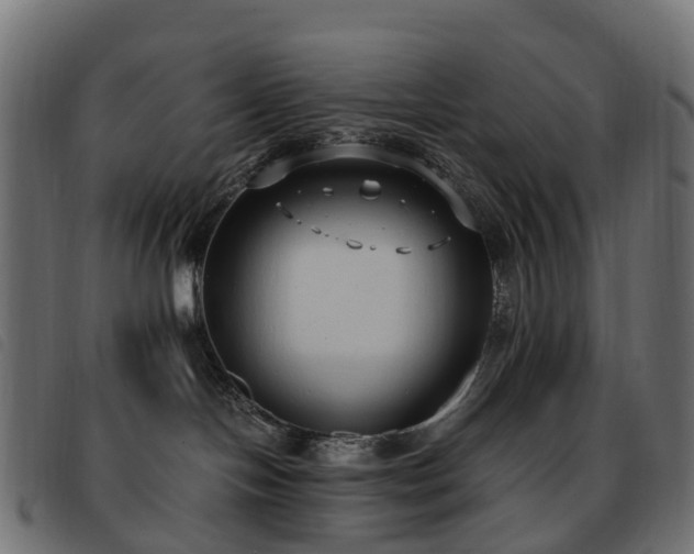 X0000093590094200710151212