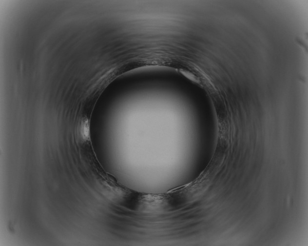 X0000093590095200710151212