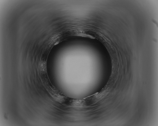 X0000093590096200710151212
