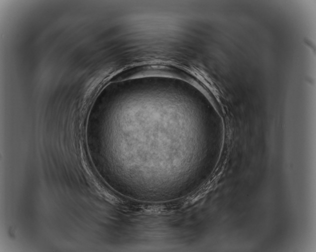 X0000093590097200710151212
