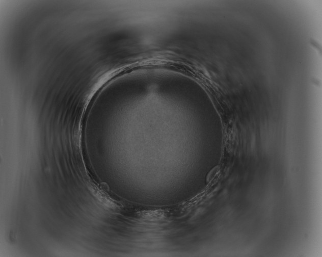 X0000093590100200710151212