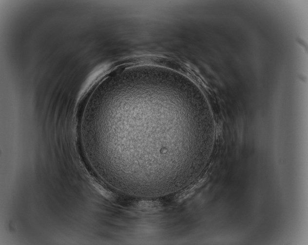 X0000093590101200710151212