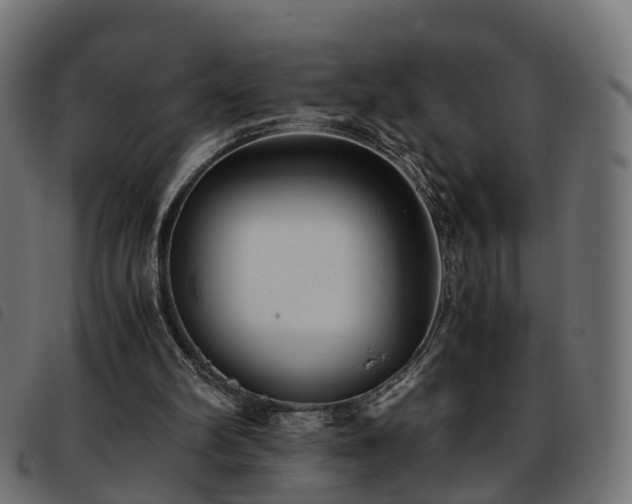 X0000093590102200710151212