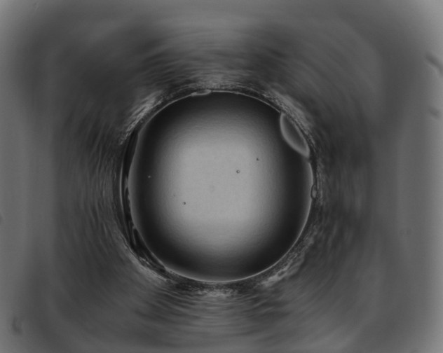X0000093590105200710151212