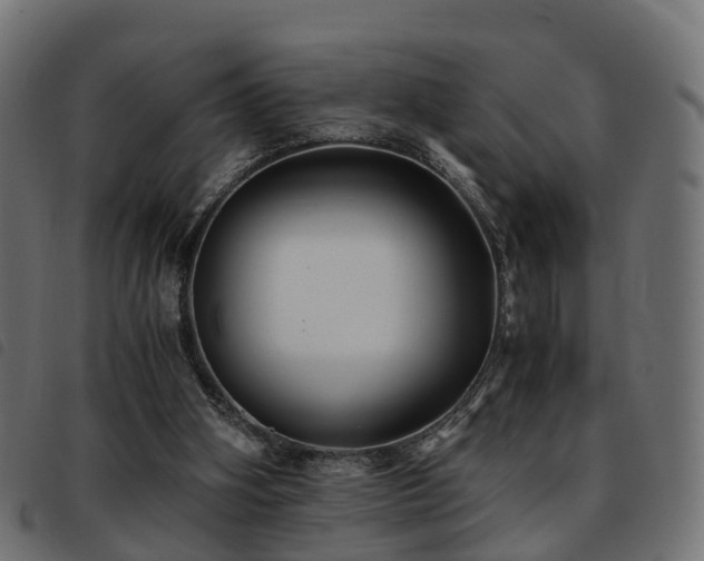X0000093590106200710151212