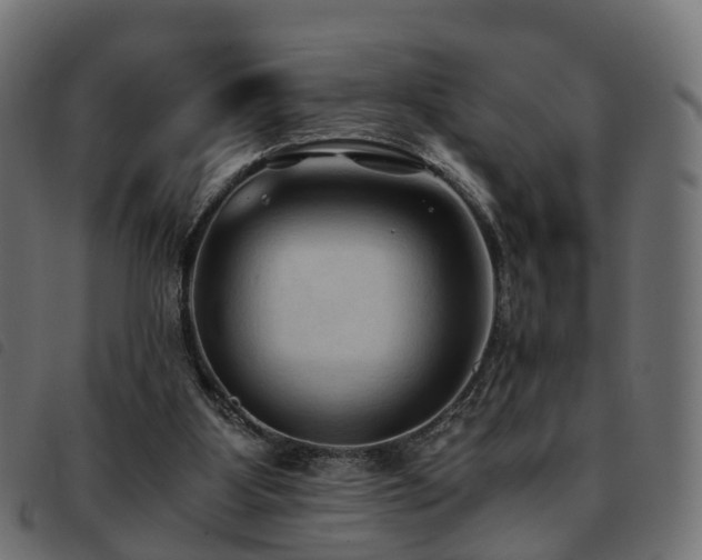 X0000093590107200710151212
