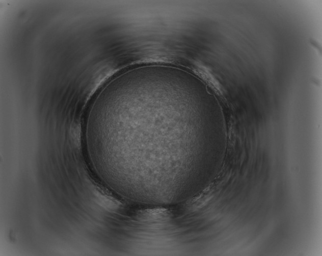 X0000093590108200710151212