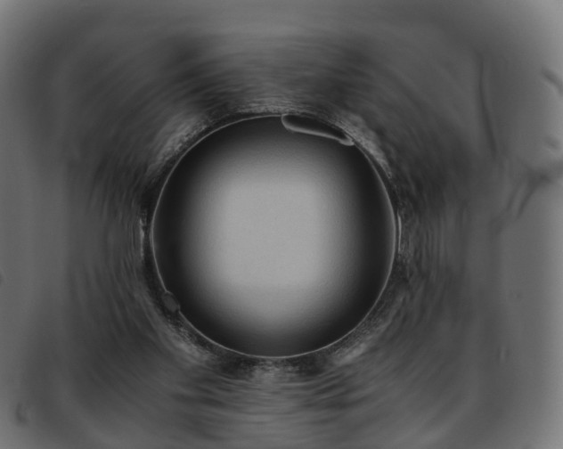 X0000093590109200710151212