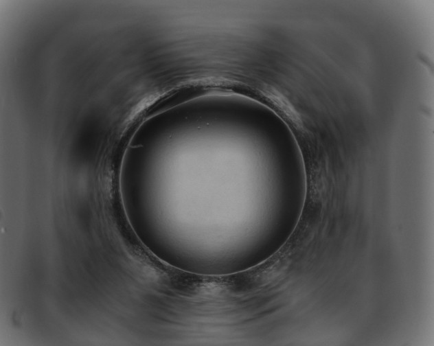 X0000093590111200710151212