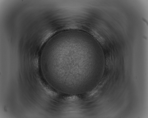 X0000093590112200710151212