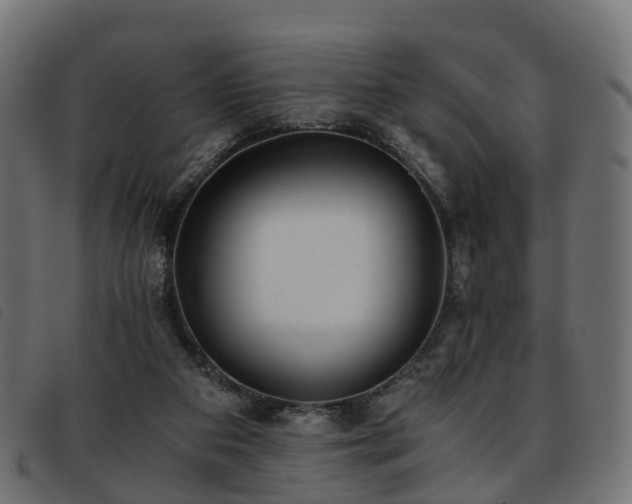 X0000093590113200710151212