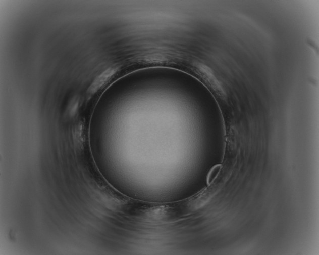 X0000093590116200710151212