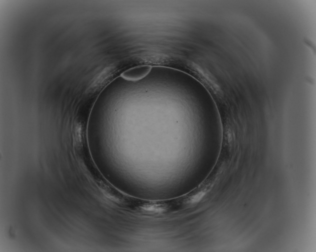X0000093590117200710151212