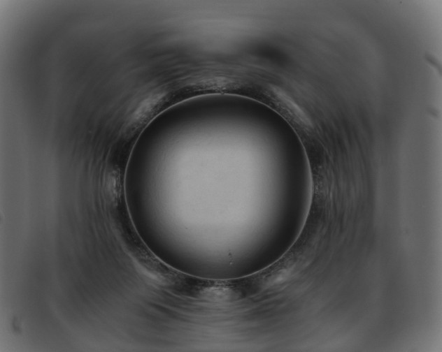 X0000093590119200710151212
