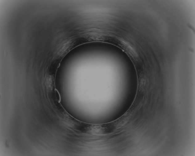 X0000093590121200710151212