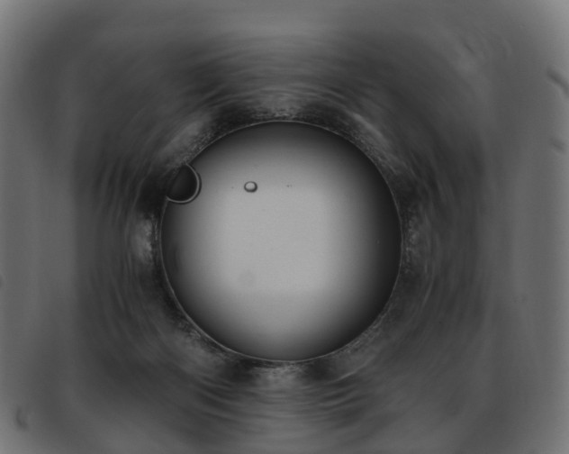 X0000093590122200710151212