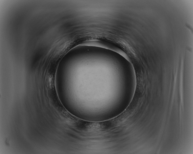 X0000093590123200710151212