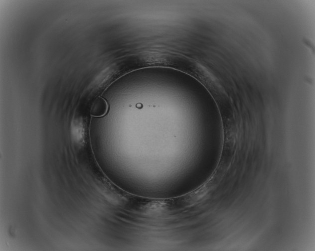 X0000093590124200710151212