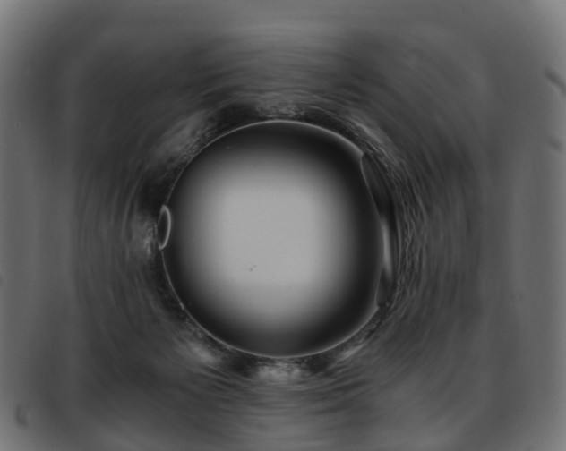 X0000093590125200710151211