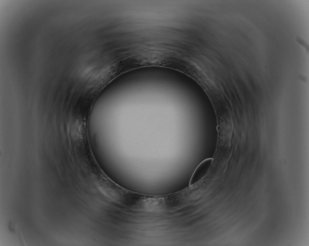 X0000093590126200710151211