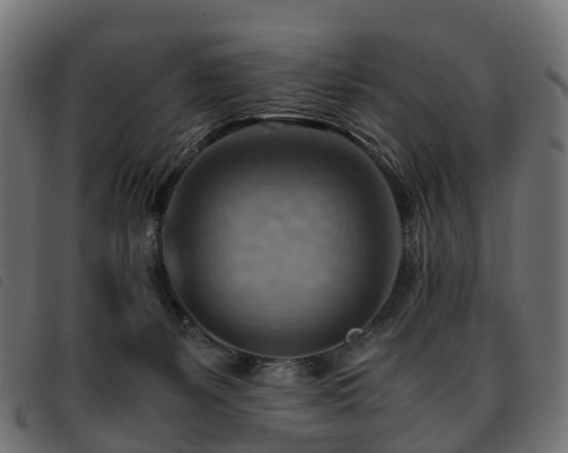 X0000093590127200710151211