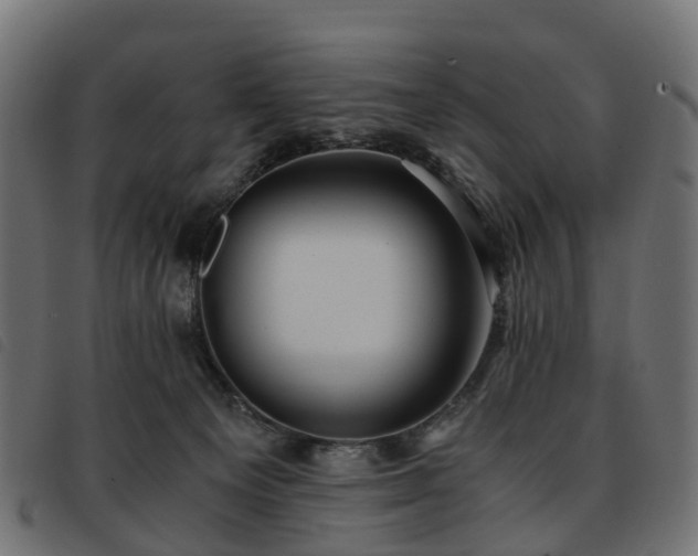 X0000093590129200710151211