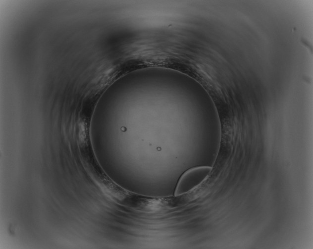 X0000093590130200710151211