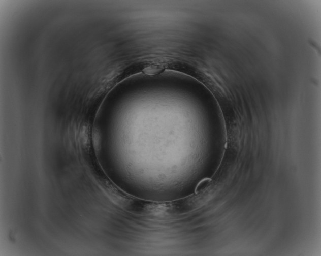 X0000093590131200710151211