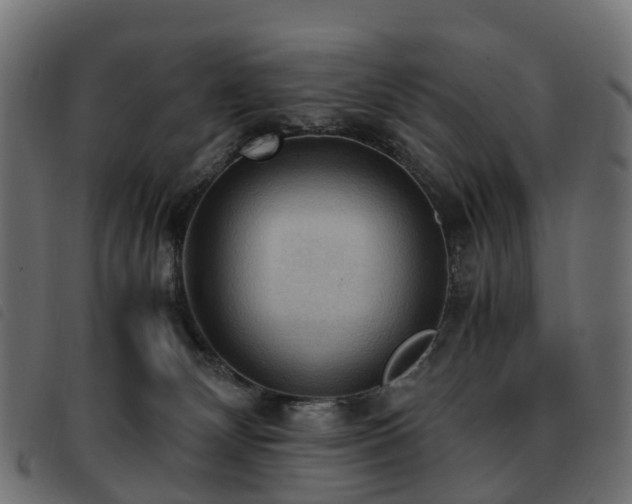 X0000093590132200710151211