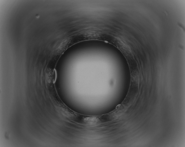 X0000093590133200710151211