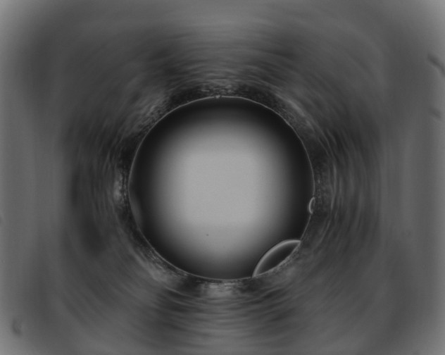 X0000093590134200710151211