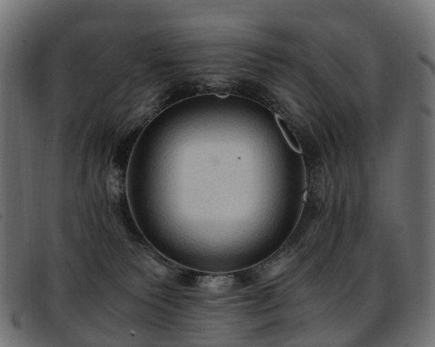 X0000093590135200710151211