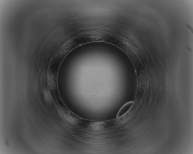 X0000093590136200710151211