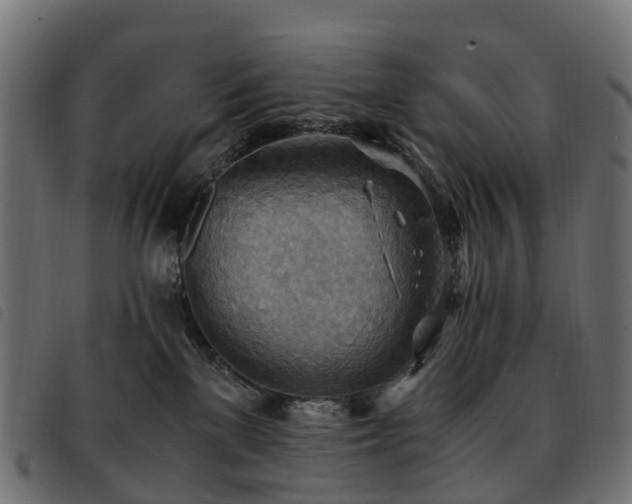 X0000093590137200710151211